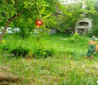 Cottage in Pirshagi. Stone house with double brickwork for sale, -2