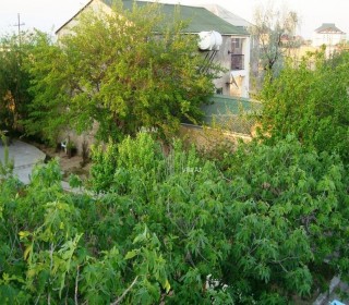 Cottage in Pirshagi. Stone house with double brickwork for sale, -20