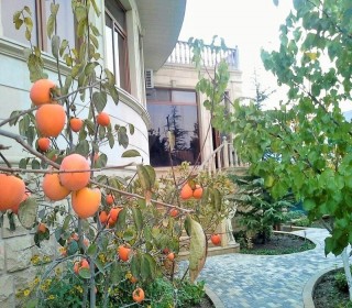 Babek prospektine yaxin villa ev almaq, -2