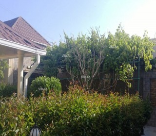 villa for sale near the white city in the village of azi aslanov, -6