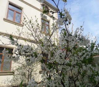 satilir-6-otaq-heyet-evi-baki-bineqedi-bineqedi-azadliq-1-s