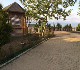 novxanida baglarin satışı, -4