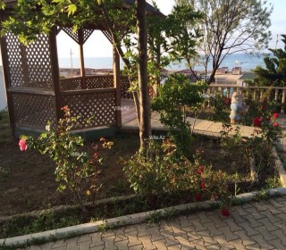 novxanida baglarin satışı, -5