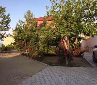 novxanida baglarin satışı, -13