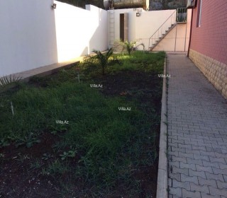 novxanida baglarin satışı, -14