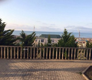 novxanida baglarin satışı, -15