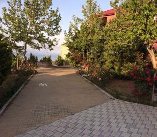 novxanida baglarin satışı, -18