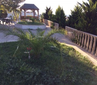 novxanida baglarin satışı, -19