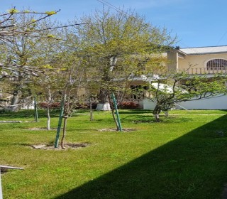 bağ evləri novxanı qəsəbəsində, -13