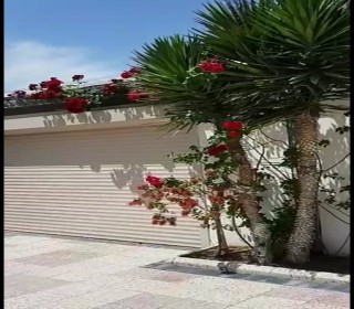 bağ evləri novxanı qəsəbəsində, -15
