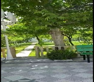 bağ evləri novxanı qəsəbəsində, -16