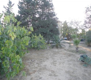merdekan həyət evi, -8