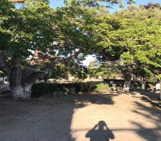 şüvəlan villa qiymetleri, -11