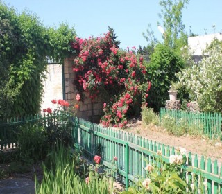 buzovnada satilan bag evleri, -8