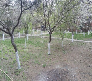 novxani villa almaq, -4