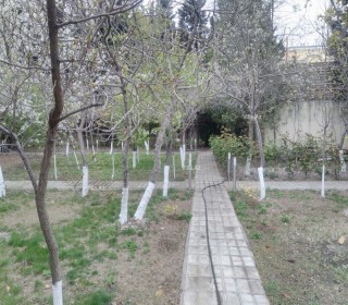novxani villa almaq, -12