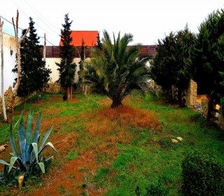 şüvəlan satilan bag evi, -2