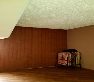 şüvəlan satilan bag evi, -3