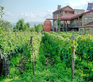 buy cottage in Georgian brick Kaxetiya, -7