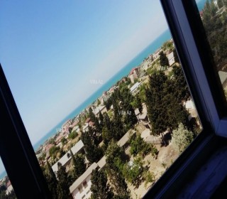 novxanida hovuzlu baglarin satışı, -2