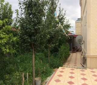 Buy country house in Azerbaijan Xanlar region, -3