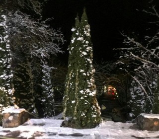 Rent (daily) Cottage, Quba.c-2