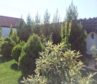 new houses Azerbaijan, Baku / Mardakan, -2