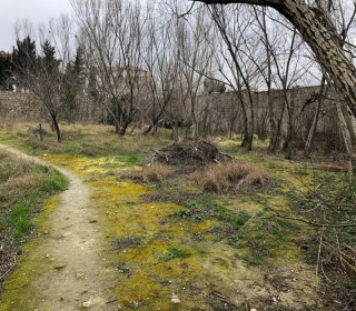 sale-land-baku-xatai-haslanov-xatai-1552814691-s