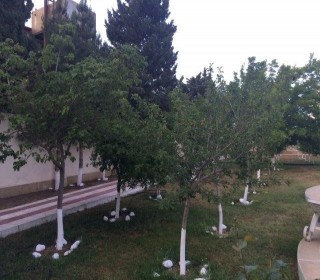 property for sale Baku, Binagadi, Azerbaijan, -11