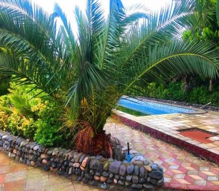 Sale Villa, -8