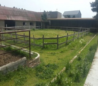 Sale Villa, -19