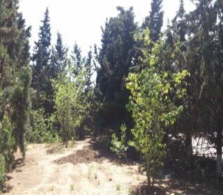 mərdəkan ev satilir, -4