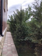 Sale Villa, Quba.c-14