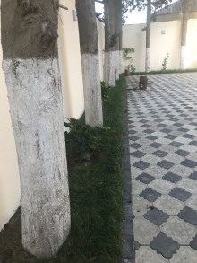 buy house in Baku, Binagadi, Azerbaijan, -8