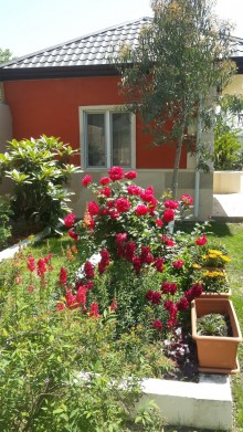 satilir-11-otaq-heyet-evi-baki-abseron-novxani-1580708513-s