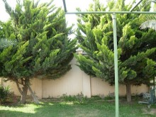 buzovnada satilan villa qiymetleri, -3