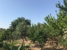 novxanı villa evlerin satişı, -6