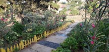 Buzovnada 37 sot torpaq sahəsi, -5