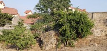 Buzovnada 37 sot torpaq sahəsi, -19