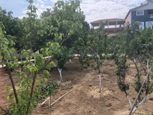 novxanıda böyük besedkalı bağ evi almaq, -14