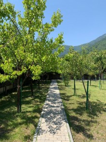 Sale Villa, Qabala.c-20