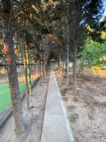 Novxanıda satılan bağ evləri, -18