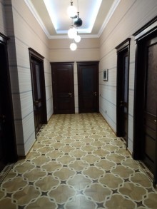 Sale New building, -8