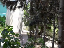 badamdarda villa qimymetleri, -10