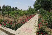 novxanida piyada denize yaxin mesafede bag satilir, -5