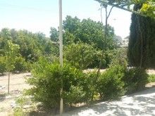 şüvəlanda satilan heyet evi, -19