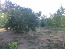 Satılır Həyət evi, Xəzər.r, Qala-17