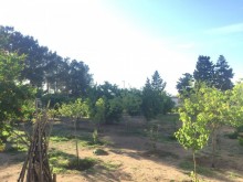 Satılır Həyət evi, Xəzər.r, Qala-20