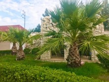 mərdəkan satilan bag evi, -2