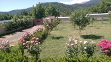 Satılır Həyət evi, Qəbələ.ş-7